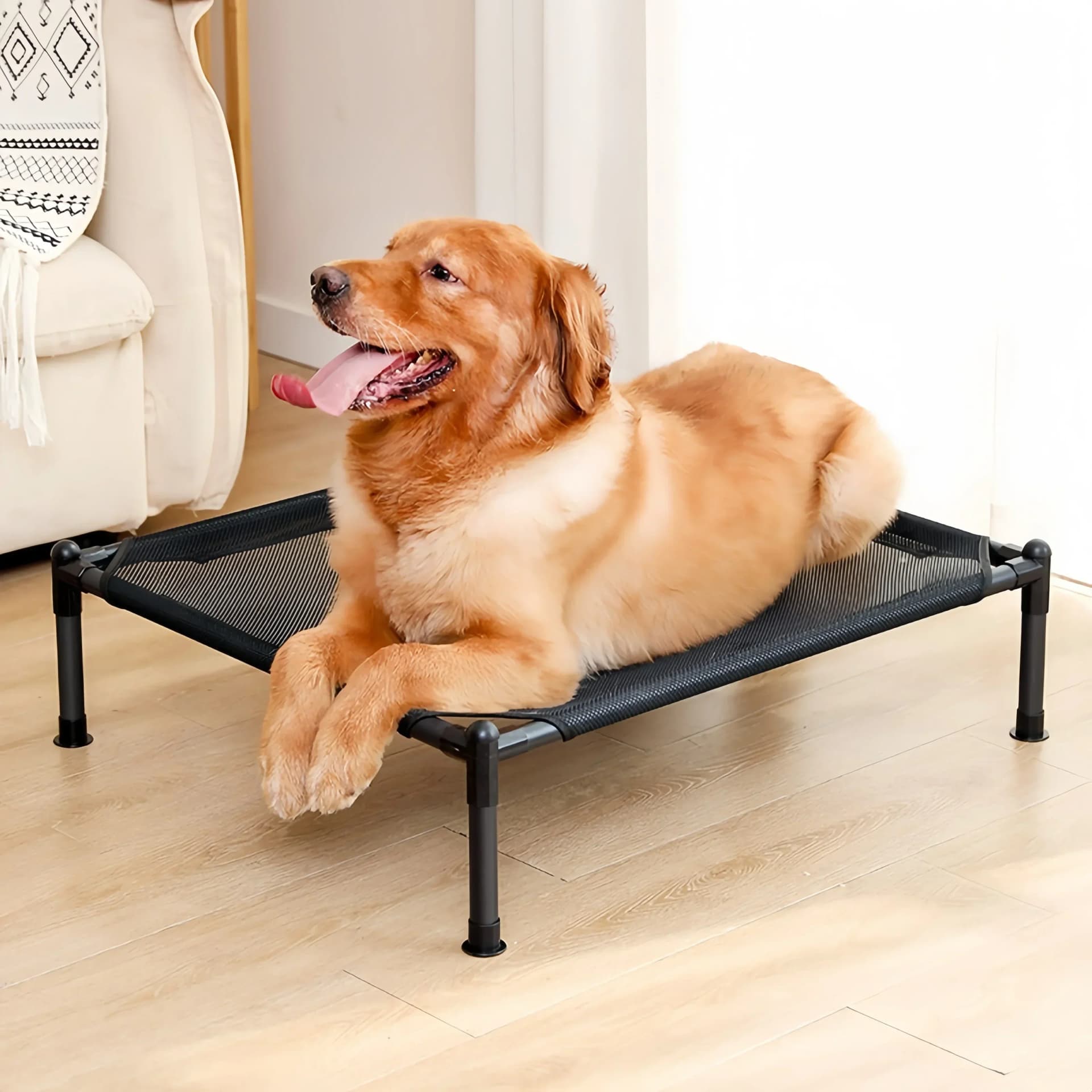 Elevated Portable Pet Bed Four Seasons