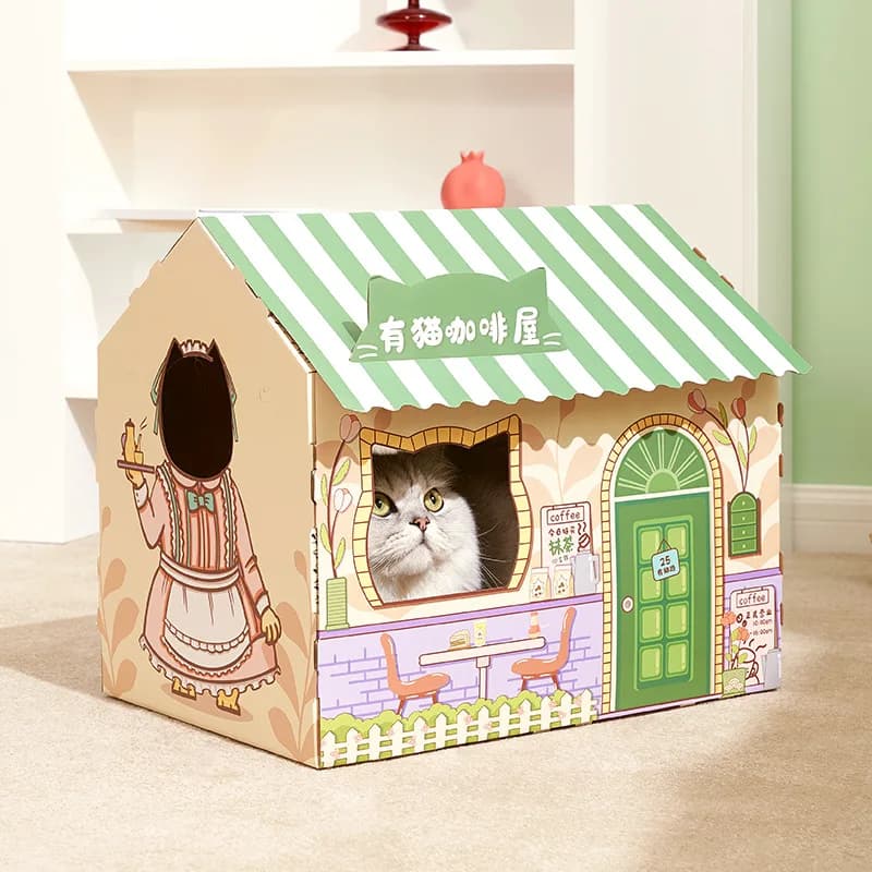 Cat Scratch Sofa and Cardboard House