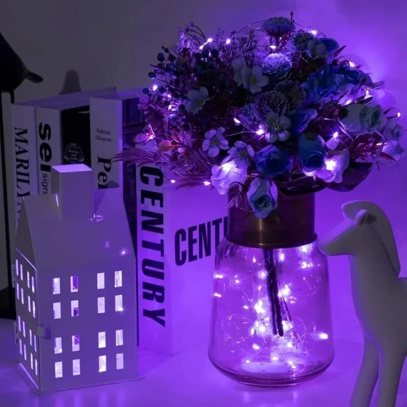 Battery Powered LED String Lights Copper Wire