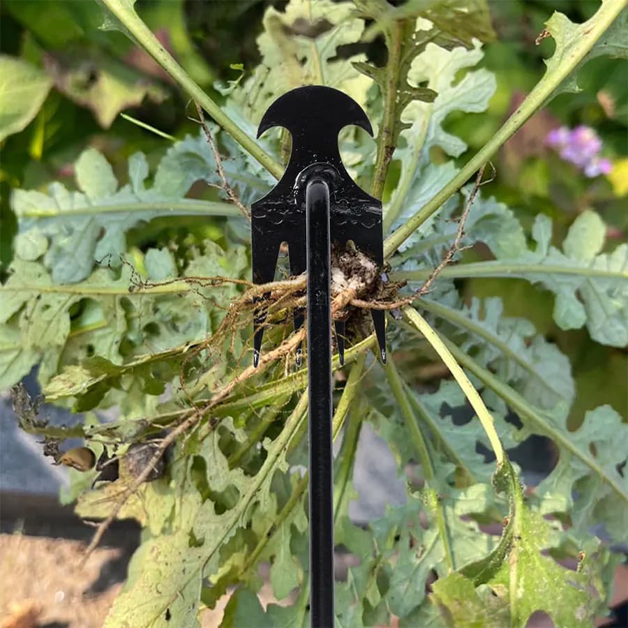 Garden Hoe Hand Tool For Weeding