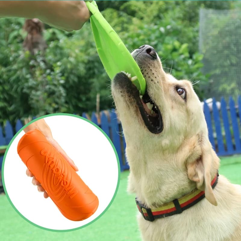Dog Silicone Flying Disc Multicolor Chew Toy