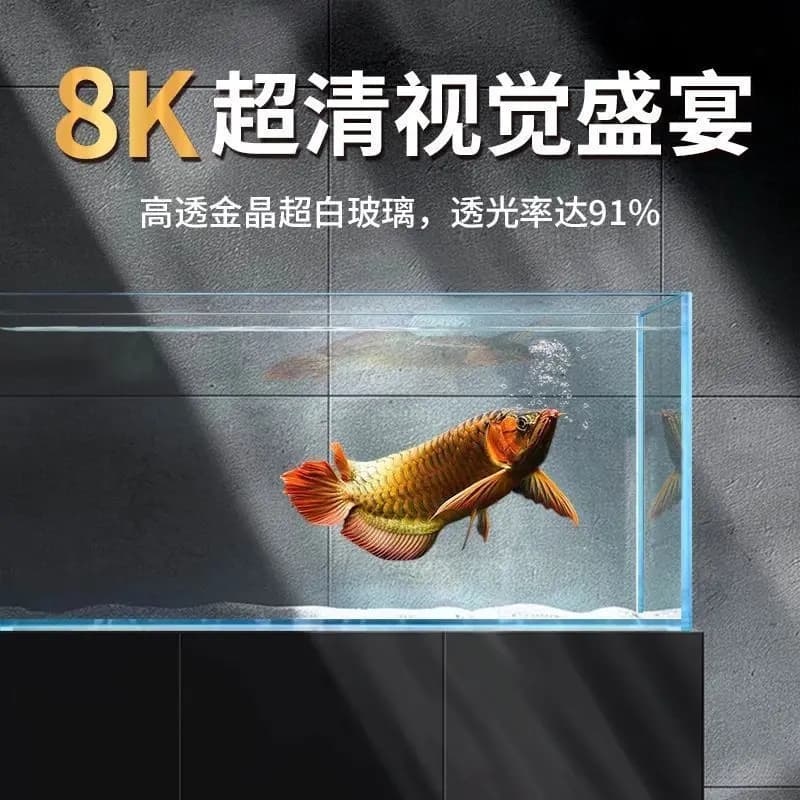 Customizable Glass Fish Tank