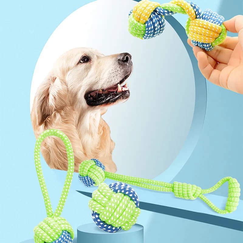Interactive Cotton Rope Dog Toy Set