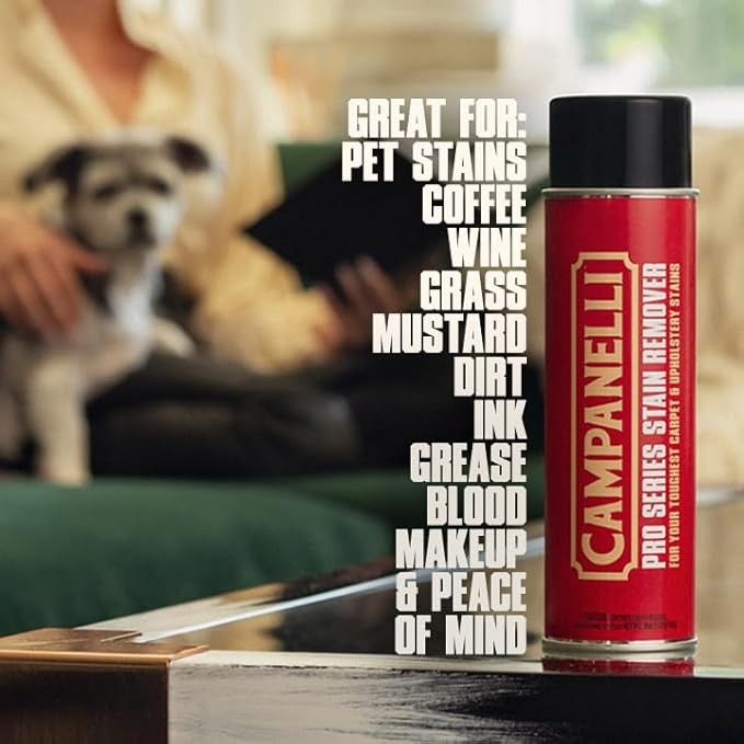 Professional Carpet Stain Remover - 3/18 oz.